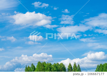 大空と樹木  背景素材 106667177