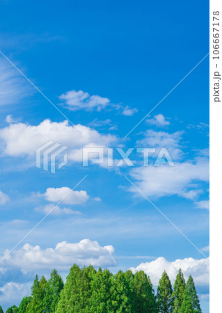 大空と樹木 背景素材 大空と樹木 背景素材 106667178