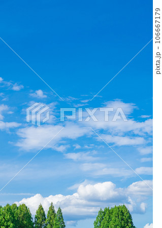 大空と樹木  背景素材 106667179