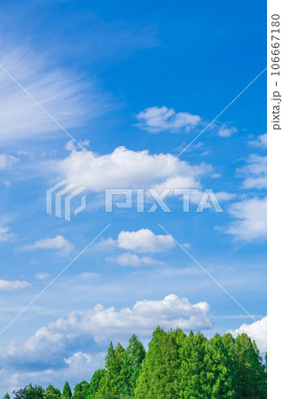 大空と樹木  背景素材 106667180