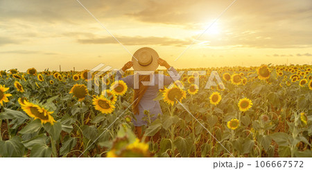 Woman sunflower field. Happy girl in blue dress and straw hat posing in a vast field of sunflowers at sunset. Summer time. Woman sunflower field. Happy girl in blue dress and straw hat posing in a vast field of sunflowers at sunset. Summer time. 106667572