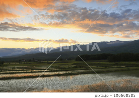 蘭越町富岡から望む棚田とニセコ連峰と夕焼け雲 106668585