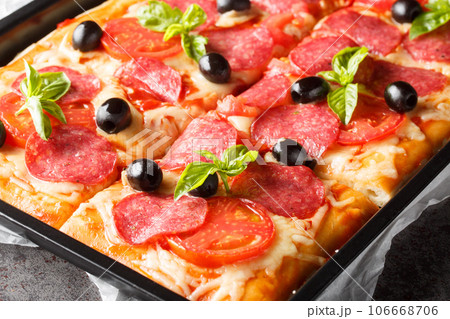 Homemade sliced rectangular pizza with mozzarella, salami sausage, olives and tomatoes close-up in a baking sheet. horizontal 106668706