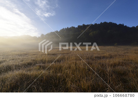 至仏山登山、尾瀬、群馬県 106668780