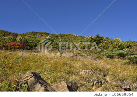 至仏山登山、尾瀬、群馬県 至仏山登山、尾瀬、群馬県 106669054
