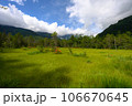 緑の絨毯 106670645