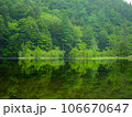 緑の湖リフレクション 106670647