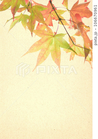 紅葉したモミジの葉の秋背景 紅葉したモミジの葉の秋背景 106670961