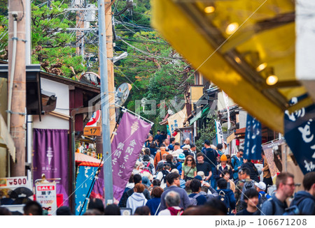 オーバーツーリズム・観光公害イメージ　京都　※一部ソフトフォーカス 106671208