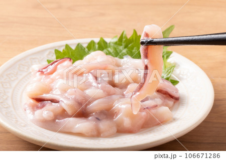 イカこうじ漬け イカこうじ漬け 106671286