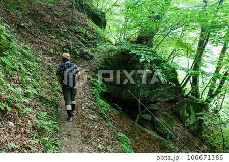 尾白川渓谷の登山道を歩く男性 106671386