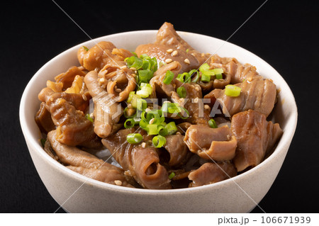 ホルモン丼 106671939