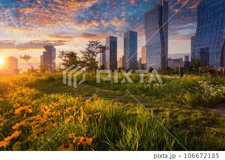 Sunset in korea, Songdo Central Park in Songdo District, Incheon South Korea. Sunset in korea, Songdo Central Park in Songdo District, Incheon South Korea. 106672185