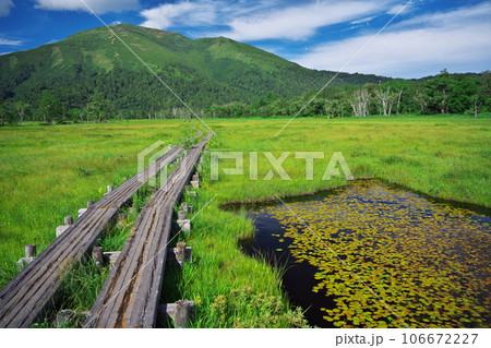 夏の尾瀬ヶ原から池塘と至仏山を臨む 夏の尾瀬ヶ原から池塘と至仏山を臨む 106672227