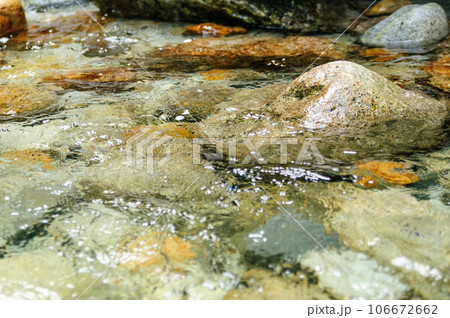 透き通った川の水 106672662