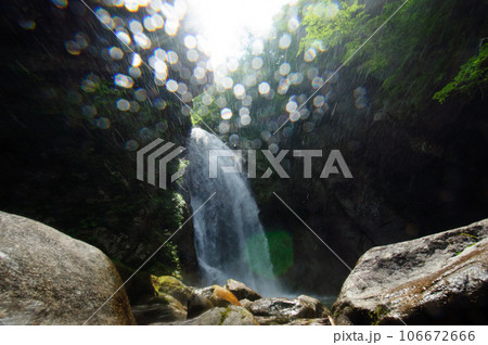 尾白川渓谷の不動滝 106672666