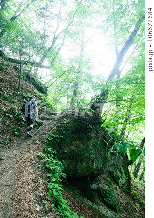 尾白川渓谷の登山道を歩く男性 尾白川渓谷の登山道を歩く男性 106672684