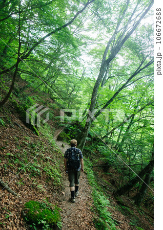 尾白川渓谷の登山道を歩く男性 尾白川渓谷の登山道を歩く男性 106672688