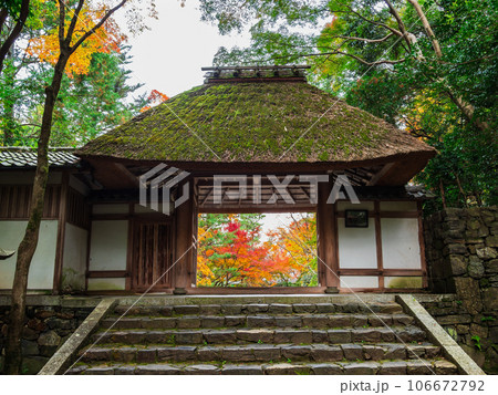 秋の京都　法然院　山門 106672792