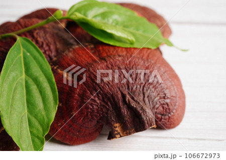 Lingzhi or Reishi mushroom with capsules, organic natural healthy food. 106672973