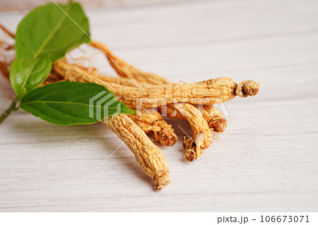 Ginseng roots and green leaf, organic nature healthy food. Ginseng roots and green leaf, organic nature healthy food. 106673071