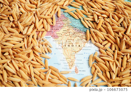 Bangkok, Thailand March 12, 2023 India map with grain rice from agriculture farm. Law and justice court concept. 106673075