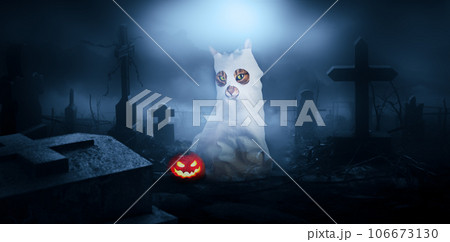 Cat in a ghost costume in a cemetery at night. 106673130