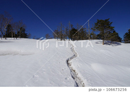 静岡県　二百名山の山伏　雪の中のトレース 106673256