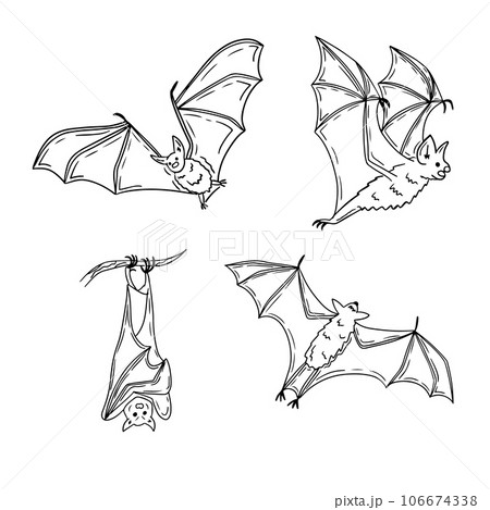 Collection of doodle single line cartoon bats 106674338