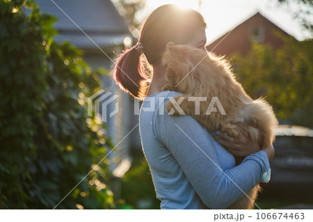 Cat on the owner hands on the nature. Cat on the owner hands on the nature. 106674463
