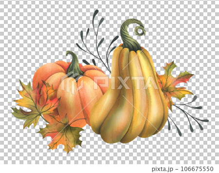 Orange autumn pumpkins with maple leaves and twigs. Watercolor illustration, hand drawn. Isolated composition on a white background Orange autumn pumpkins with maple leaves and twigs. Watercolor illustration, hand drawn. Isolated composition on a white background 106675550