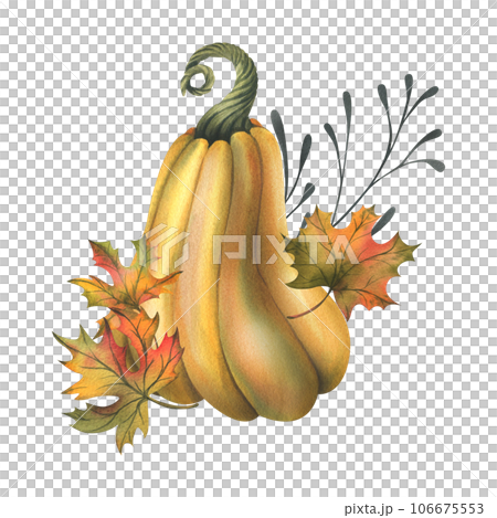 Orange autumn pumpkins with maple leaves and twigs. Watercolor illustration, hand drawn. Isolated composition on a white background Orange autumn pumpkins with maple leaves and twigs. Watercolor illustration, hand drawn. Isolated composition on a white background 106675553
