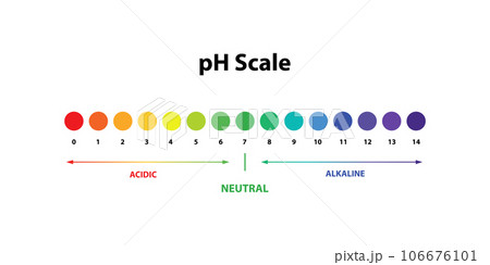 Ph Scale chart indicator diagram value. Alkaline, neutral, acidic solution. Ph Scale chart indicator diagram value. Alkaline, neutral, acidic solution. 106676101