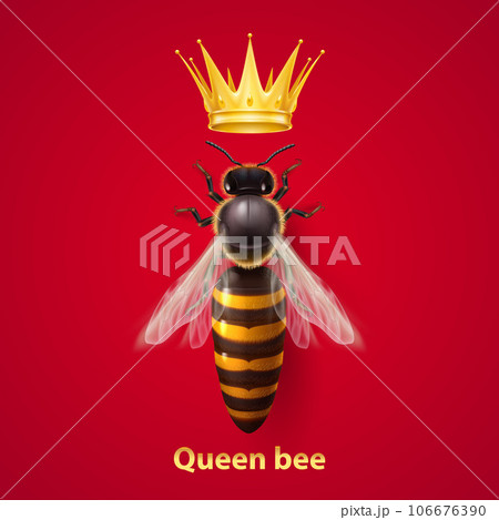 Bee Queen 106676390