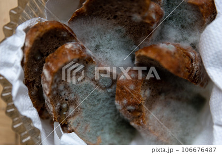Forgotten bread breadbasket covered with green mold 106676487