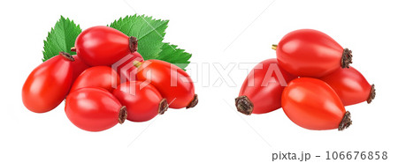 Rose hip isolated on a white background with full depth of field Rose hip isolated on a white background with full depth of field 106676858