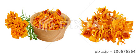 fresh marigold or tagetes erecta flower isolated on white background with full depth of field. fresh marigold or tagetes erecta flower isolated on white background with full depth of field. 106676864