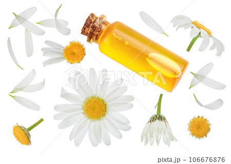 bottle with essential oil and fresh chamomile flowers isolated on white background. Top view. Flat lay. 106676876