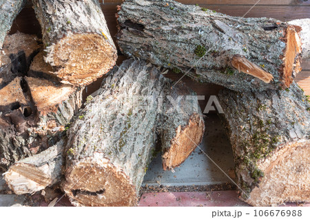 Old logs for lighting a stove or fireplace. Old logs for lighting a stove or fireplace. 106676988