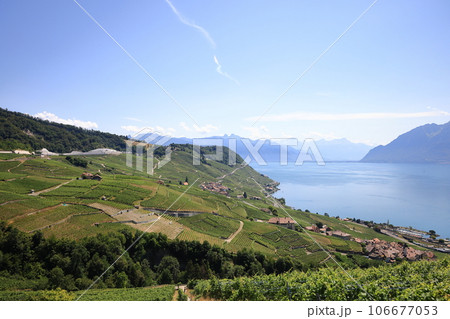スイス、モントルー、葡萄畑とレマン湖の美しい風景 106677053