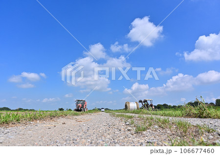収穫時期の田んぼとトラクター　埼玉県　桶川市 106677460