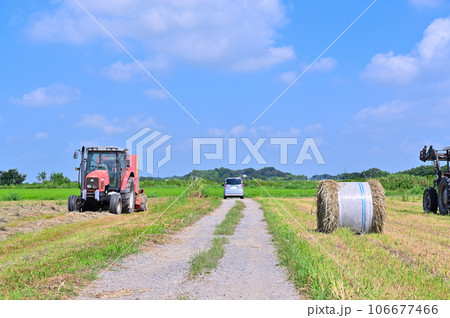 収穫時期の田んぼとトラクター　埼玉県　桶川市 106677466