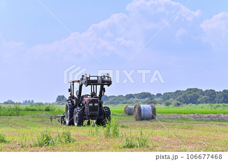 収穫時期の田んぼとトラクター 埼玉県 桶川市 収穫時期の田んぼとトラクター 埼玉県 桶川市 106677468