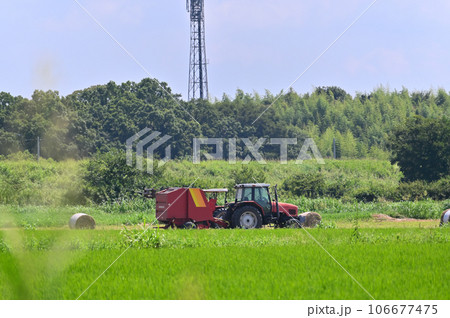 収穫時期の田んぼとトラクター　埼玉県　桶川市 106677475