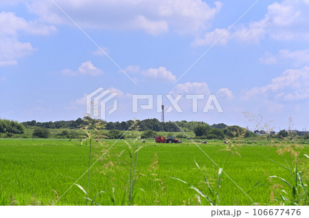 収穫時期の田んぼとトラクター 埼玉県 桶川市 収穫時期の田んぼとトラクター 埼玉県 桶川市 106677476