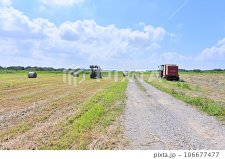 収穫時期の田んぼとトラクター　埼玉県　桶川市 106677477