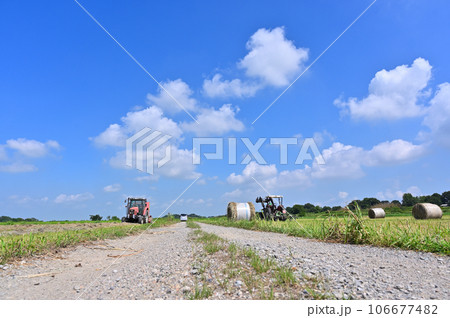 収穫時期の田んぼとトラクター　埼玉県　桶川市 106677482