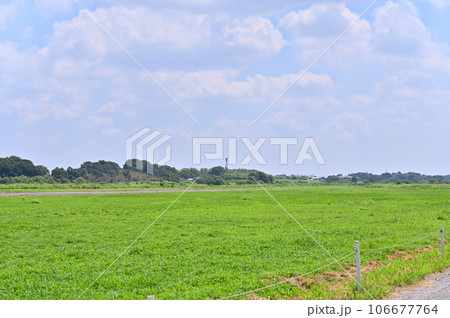 埼玉県　桶川市　 106677764