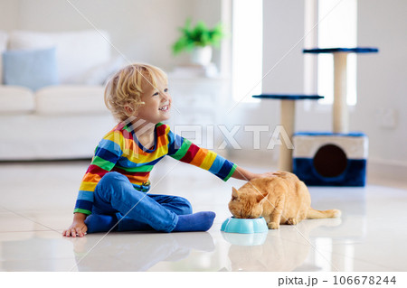 Child playing with cat at home. Kids and pets. Child playing with cat at home. Kids and pets. 106678244