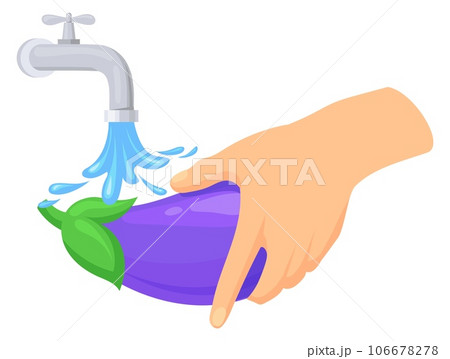 Washing vegetable under running water. Clean eggplant icon Washing vegetable under running water. Clean eggplant icon 106678278